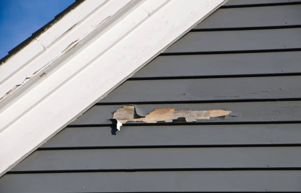 Best Siding Painting and Refinishing  in Good Hope, CA